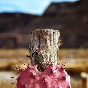 Meet your Posher, Ada